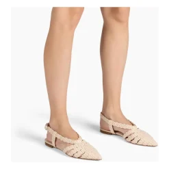 Avenida Ballet