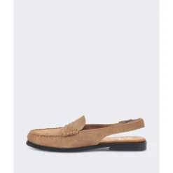 Dan Sandal Flesh Out