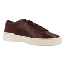 Laced Shoes