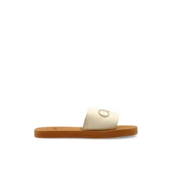 Logo Slides