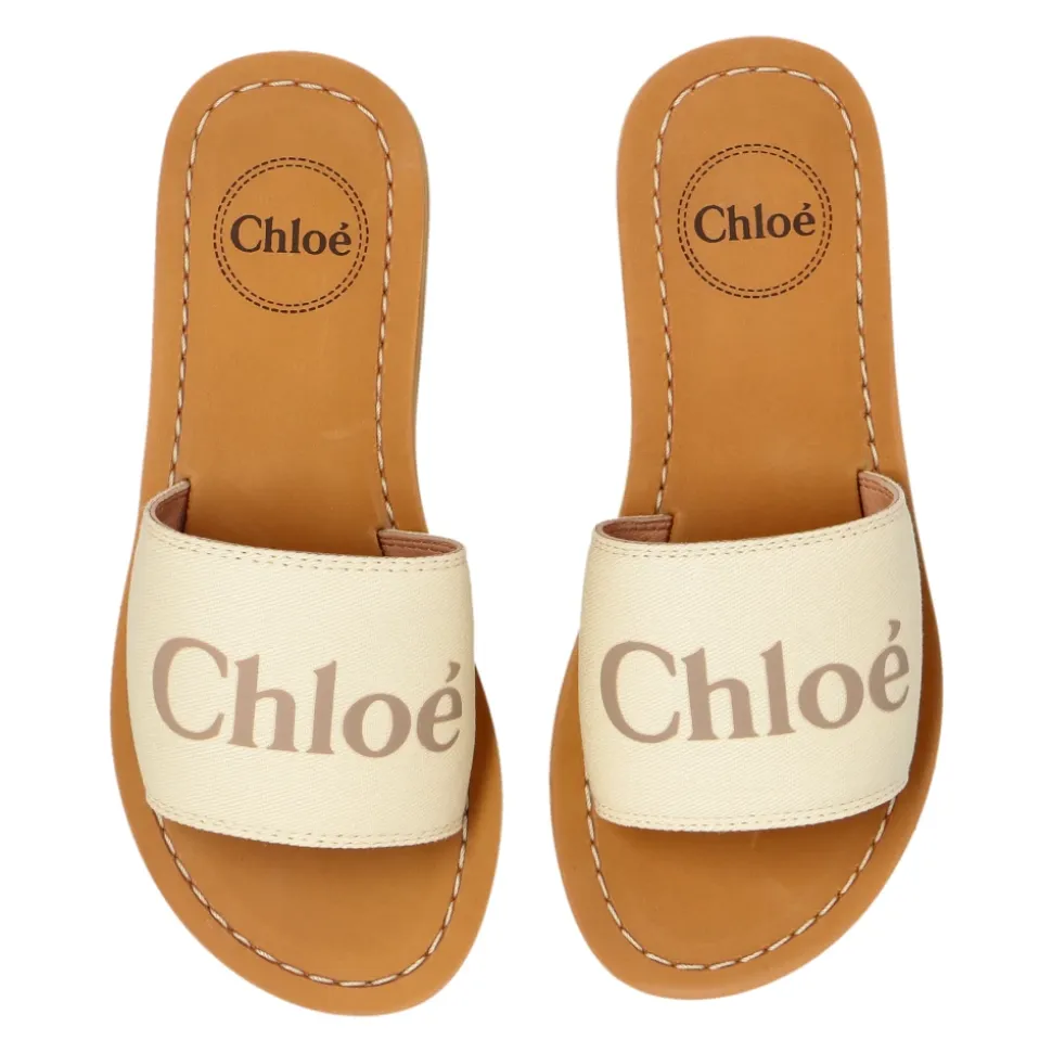 Logo Slides