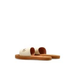 Logo Slides