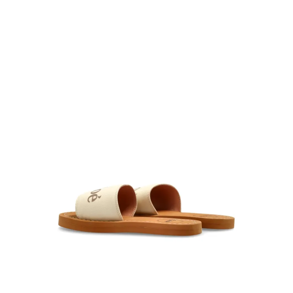 Logo Slides
