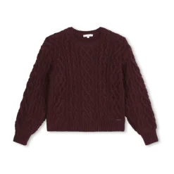 Maglione Bordeaux Pull