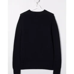Maglione in Cotone Intarsia