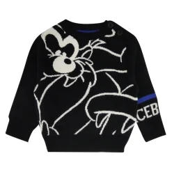 Maglione in Maglia Girocollo