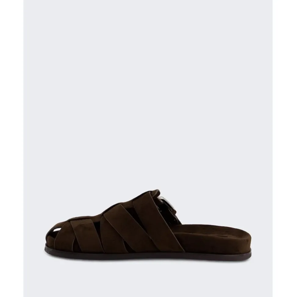 Mule Veneta