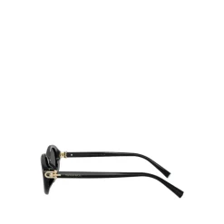 Oval Sunglasses