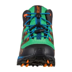 Raptor II Mid GTX Scarpe da Trail