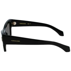 Sunglasses SF2006S 001
