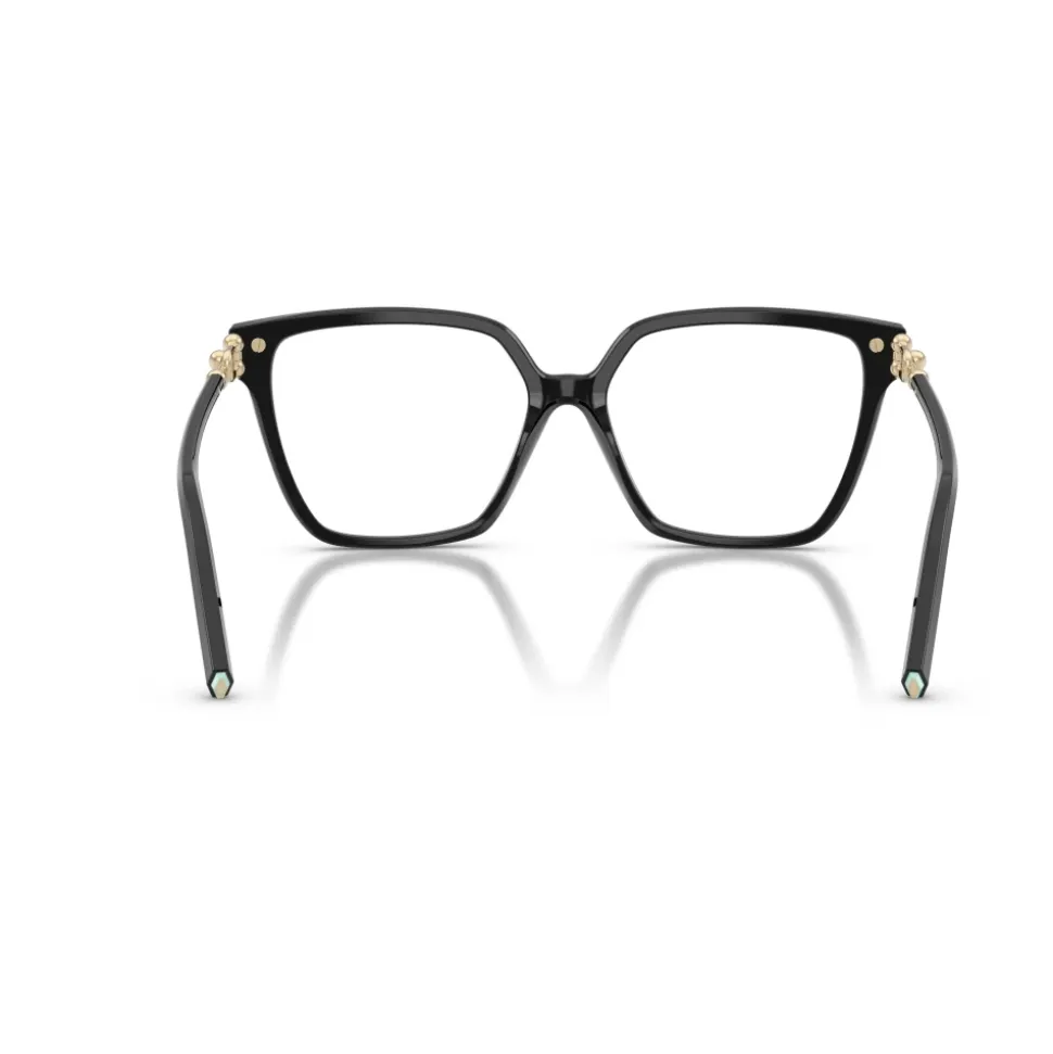 TF2290BU Optical Frame