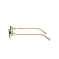 TF3104D Sunglasses