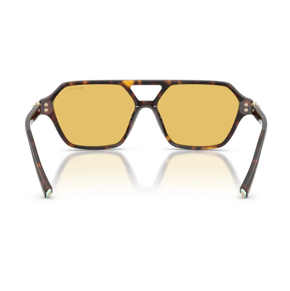 TF4264U Sunglasses
