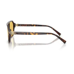TF4264U Sunglasses