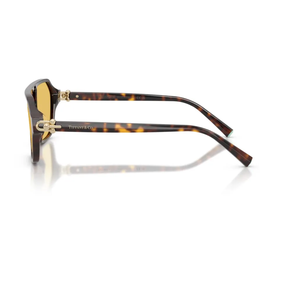 TF4264U Sunglasses