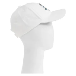 Waves Cap